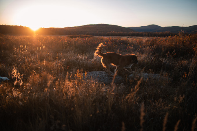 自驾呼伦贝尔|七千里路云和月,写给秋天和自己的故事