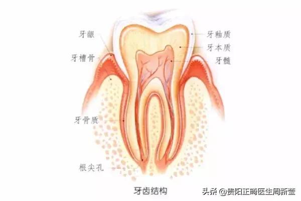 牙齿开瓶盖是嫌它太硬吗?牙齿使用说明书,简直太绝了