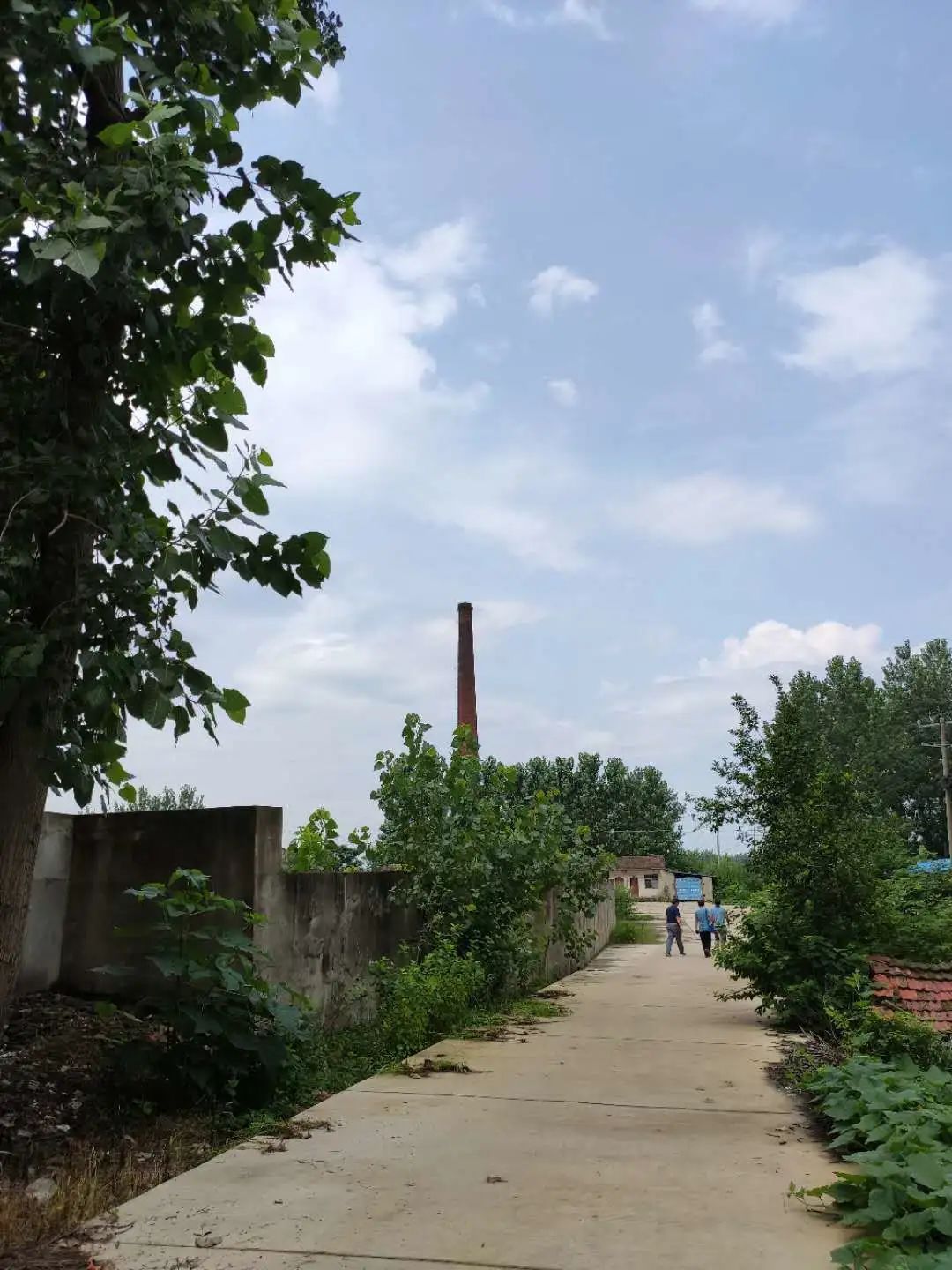 90年代白湖砖瓦厂,新华砖瓦厂