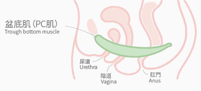 “缩阴”、“阴道哑铃”，真相却是……