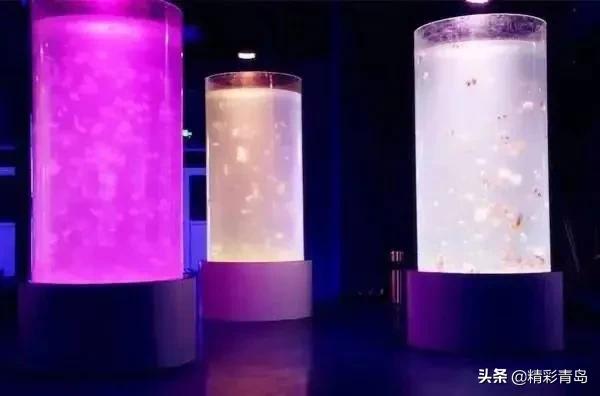 青岛极地海洋公园水母馆,青岛极地海洋公园门票