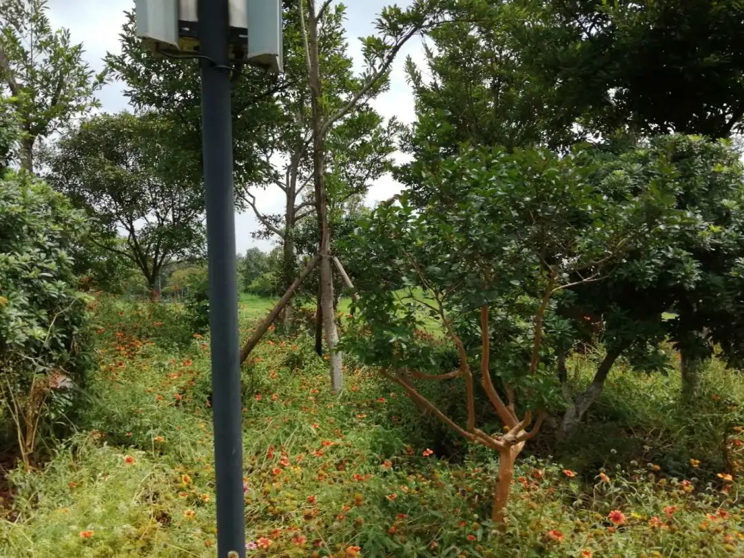 这种病毒传染性强需警惕,这次病毒为什么年轻人容易感染