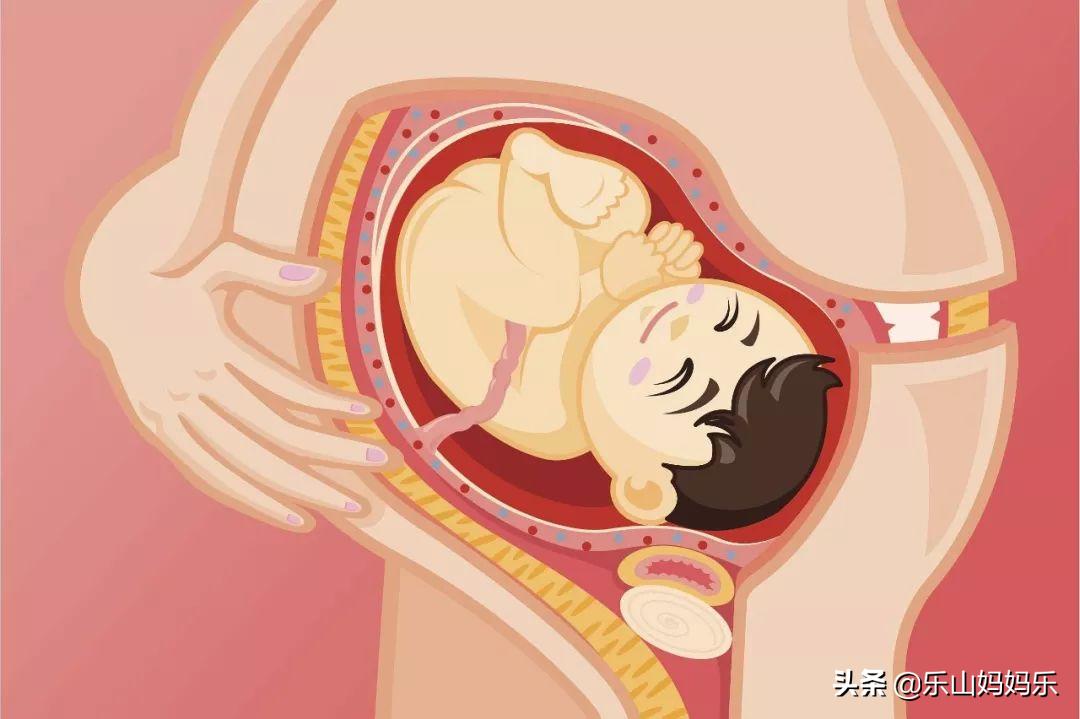 “你的宝贝”拍了拍你说：妈妈快带我去现代妇产医院做四维啦