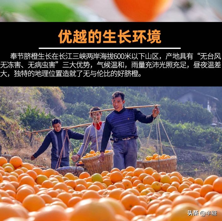 盘点前十名好吃又不贵的零食过年,好吃不贵的10款零食推荐