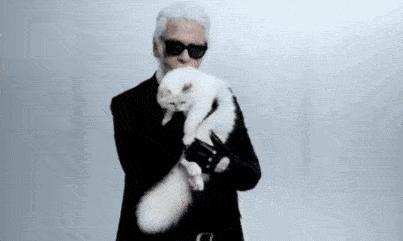 老佛爷的猫继承多少遗产,老佛爷去世了猫继承了多少遗产