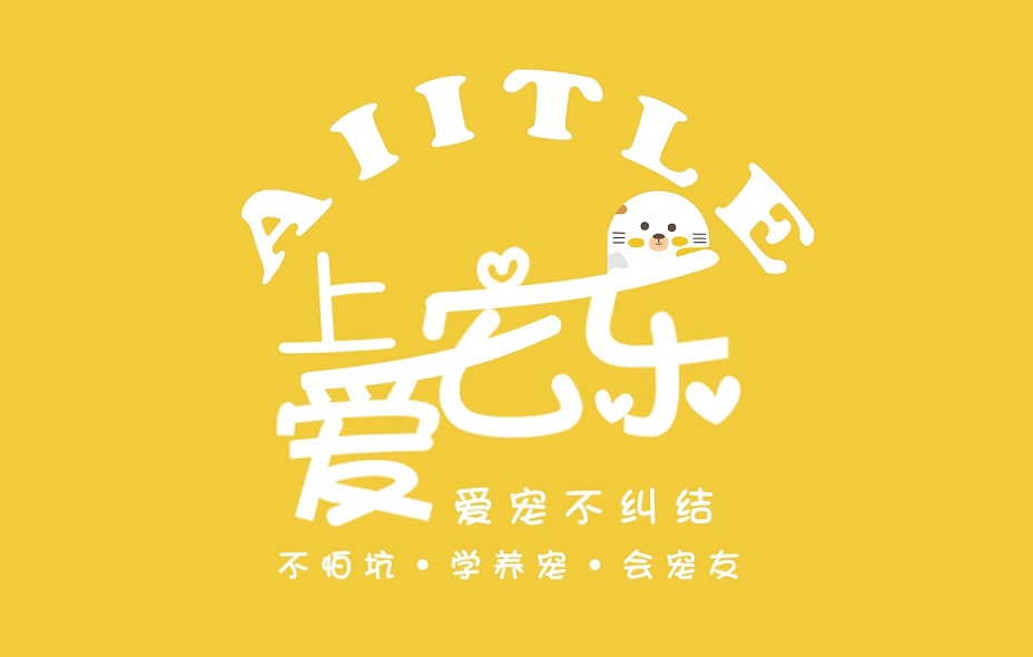 金毛被女主人说长得越来越丑,女孩吐槽猫咪长得丑被反扑