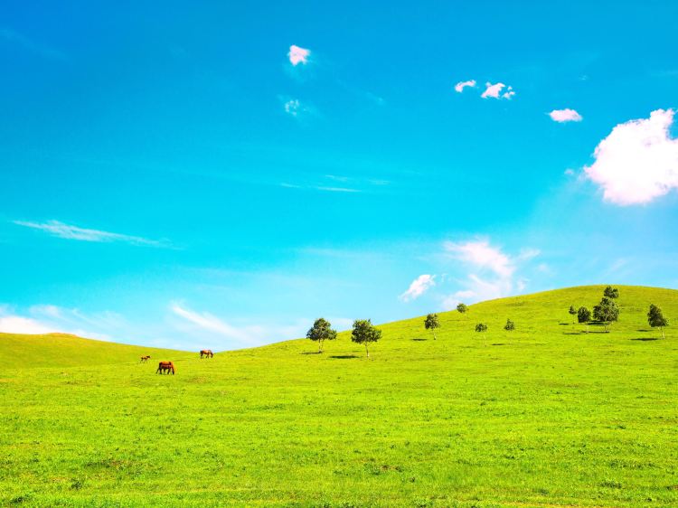 关于河北张家口的电视剧,河北的张家口地区