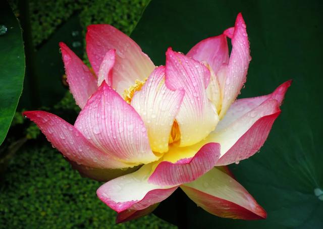 昆明附近一个人玩的地方,昆明周边城市适合一个人去的地方