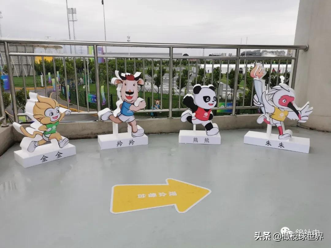 我和我的体育故事,我和运动会的故事