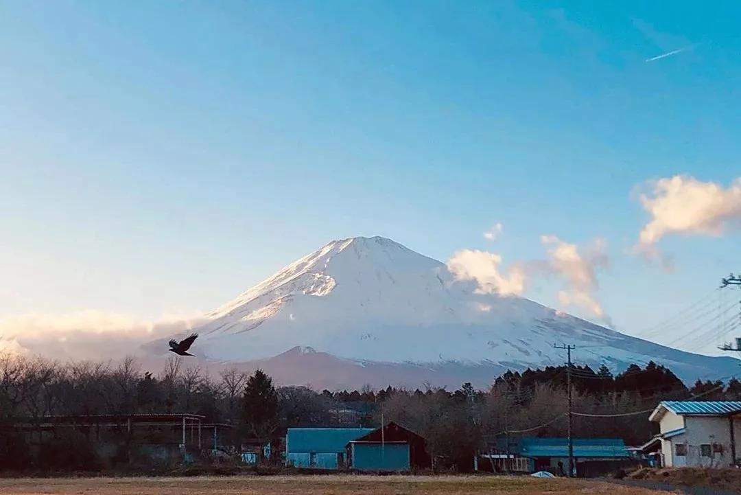 日本足球高中联赛决赛绝杀,日本高中足球联赛决赛集合