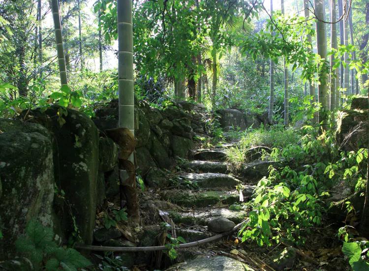 （31）美丽的龙山村