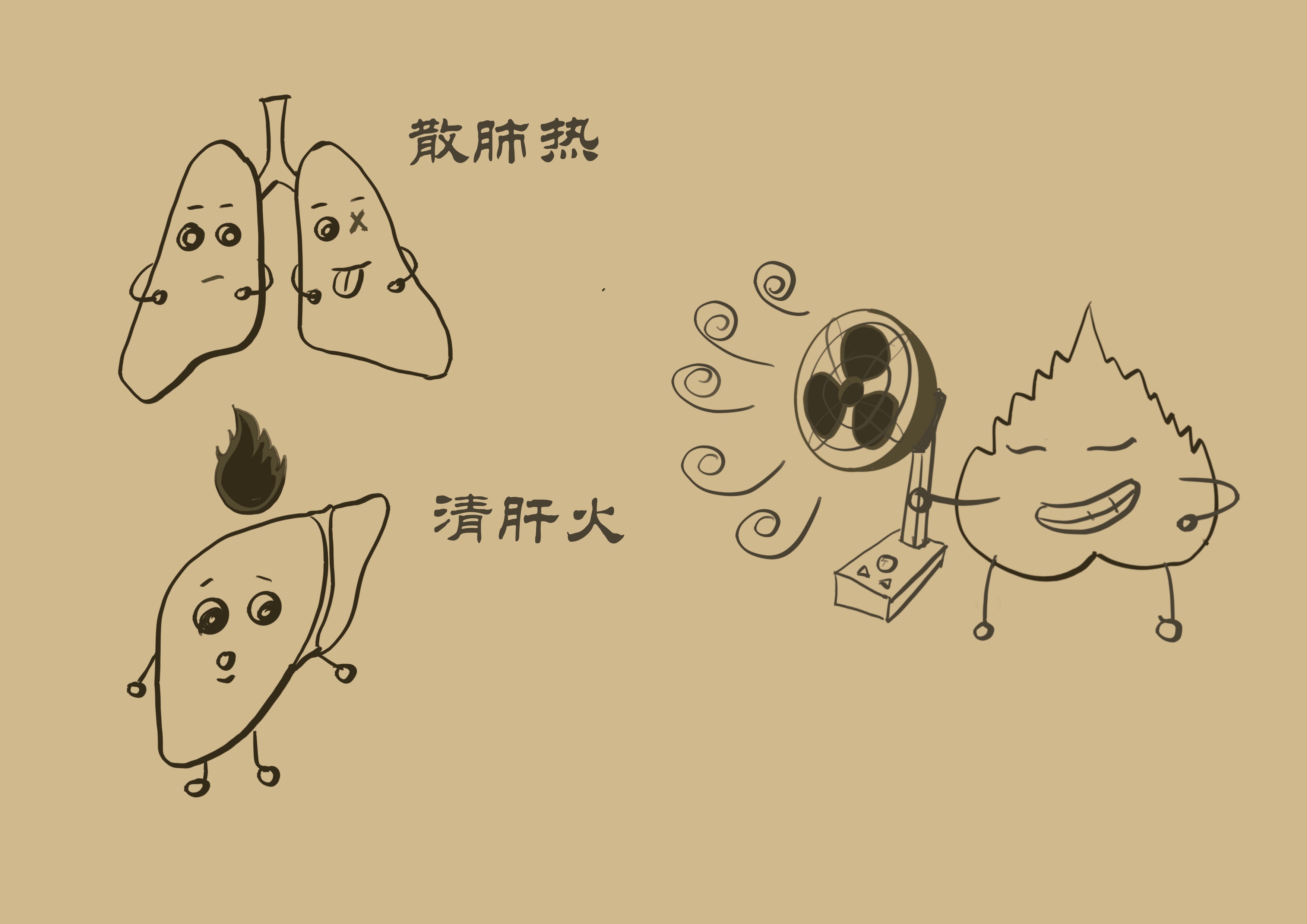 桑叶泡茶喝的作用与功效,晒干的桑叶泡茶喝有什么功效