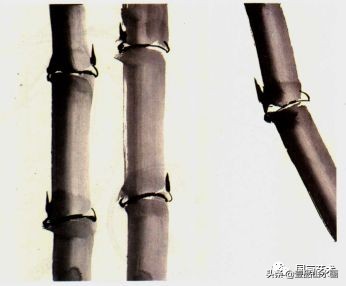 图文教程竹子画法,怎么画竹最简单最好看