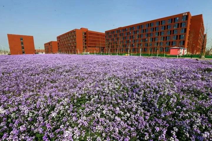 天津普通二本学校,天津普通二本大学目录