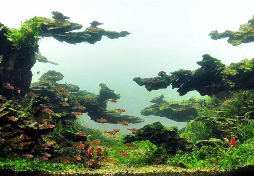 草缸造景教程：胶水造景太温柔，男人就该上电钻