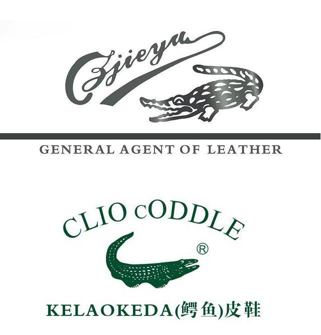 十大鳄鱼排名前十,鳄鱼牌什么档次