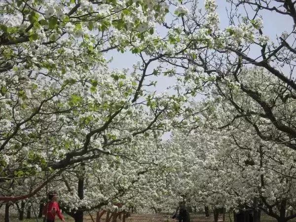 天津旅游必去十大景点天津美食,天津旅游攻略必玩的景点小吃