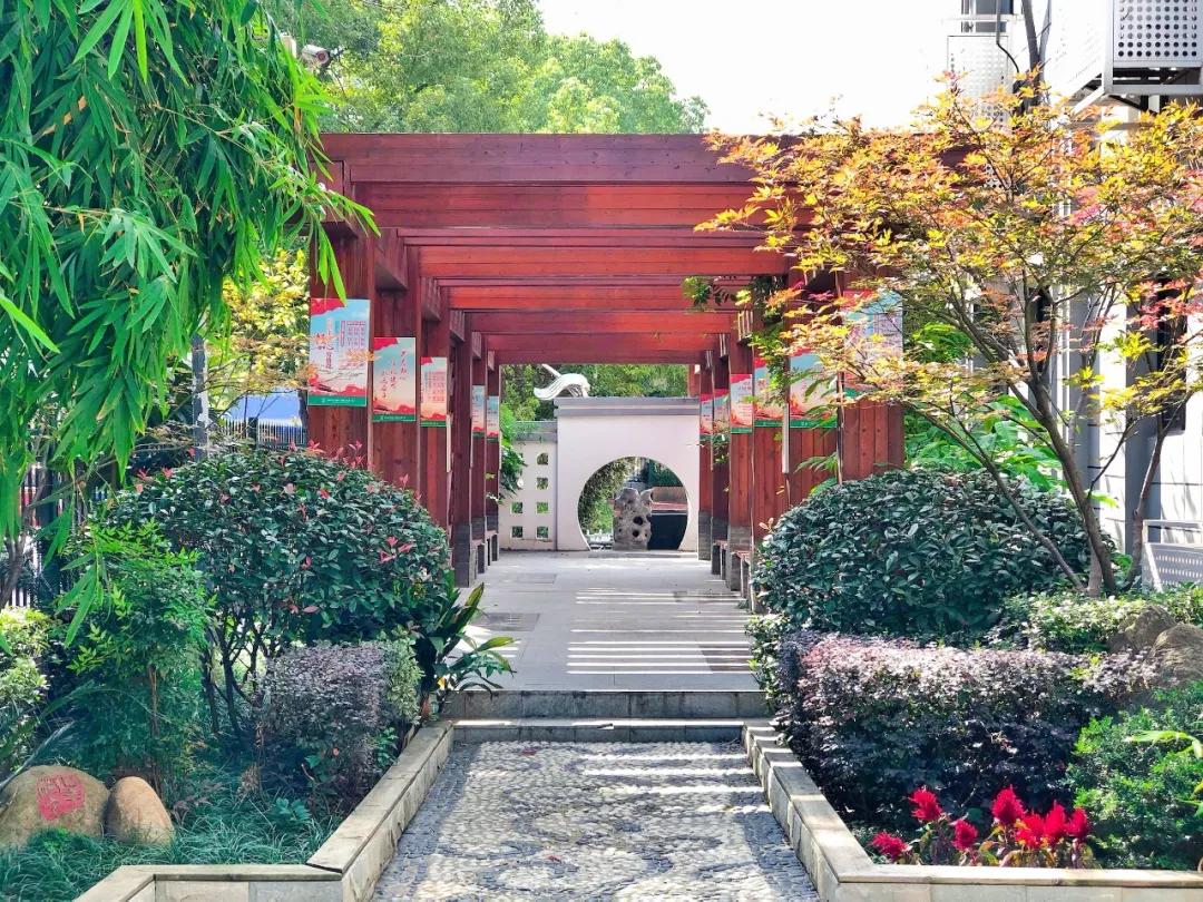 秋天你好吗,秋天你好