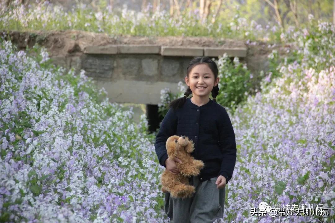 带娃周边3-4天自由行攻略,又到周末要带娃