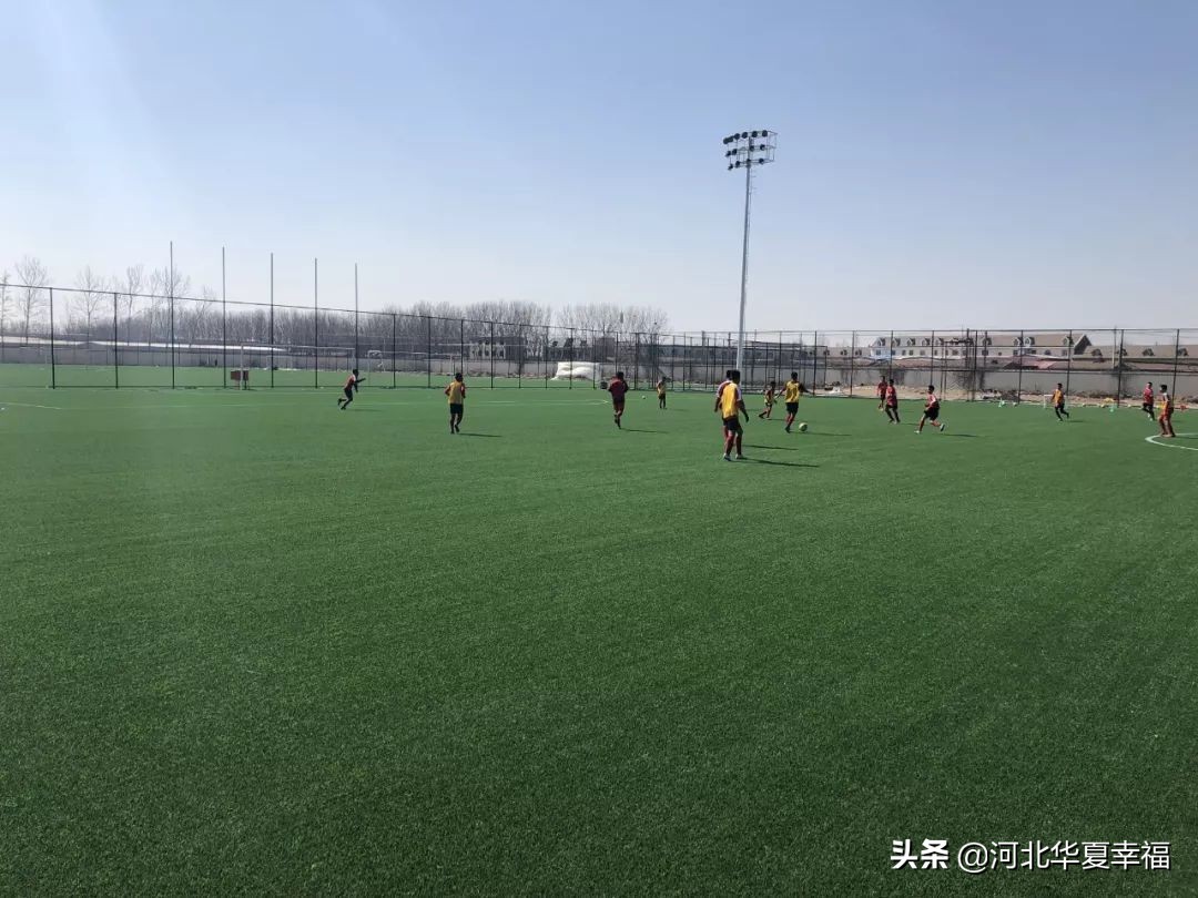 幸福小将陶强龙,吹响青训最强集结号