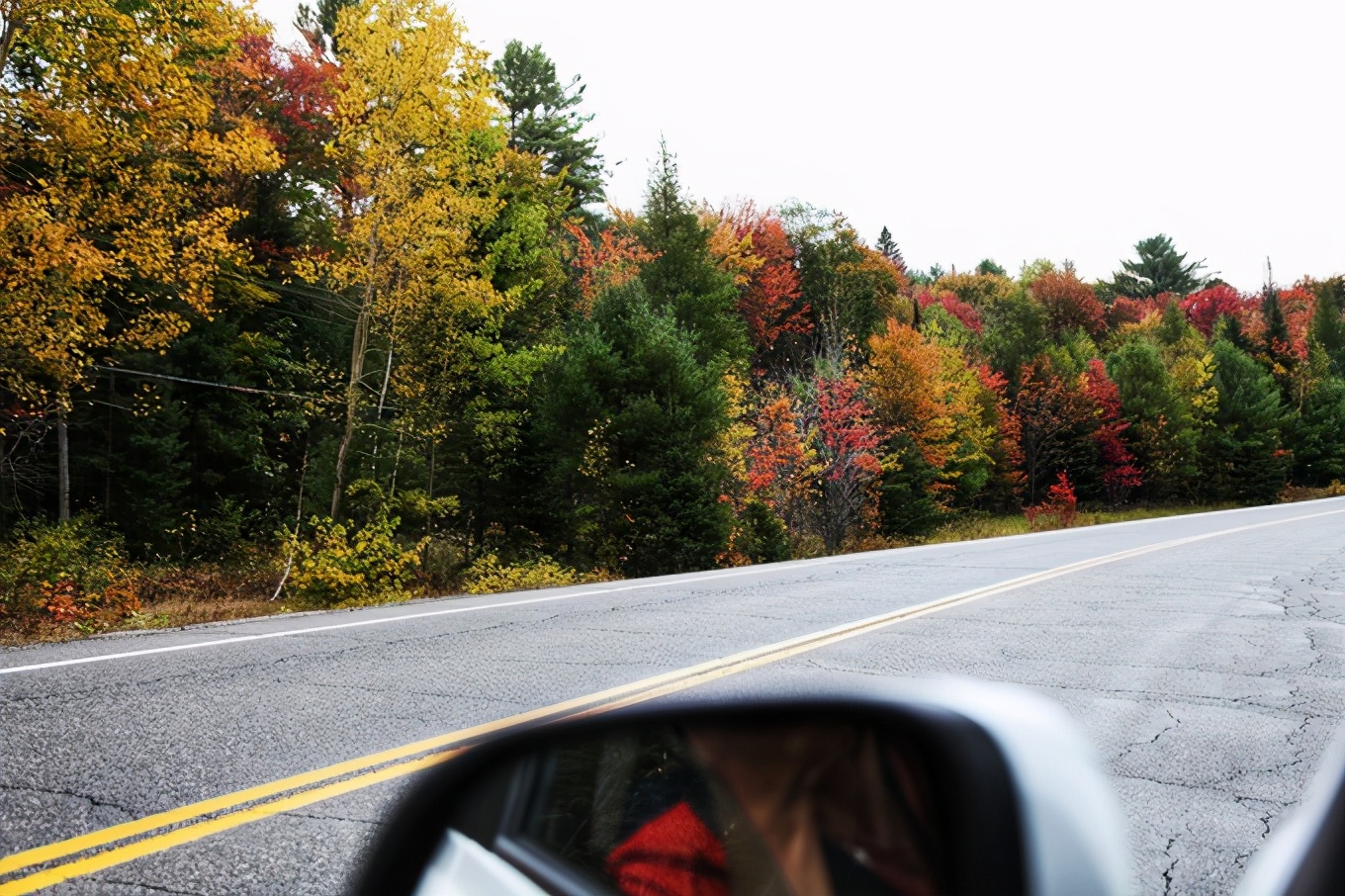 「怀念系列」加拿大（5）｜品尝奥巴马同款枫叶糖