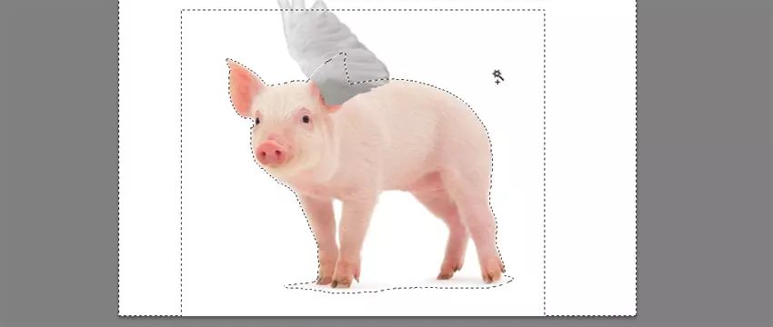 ps小猪怎么做,ps怎么合成驴子