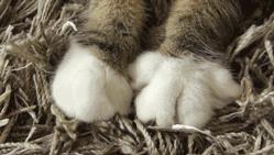 让你久等了原唱,让你久等了翻唱