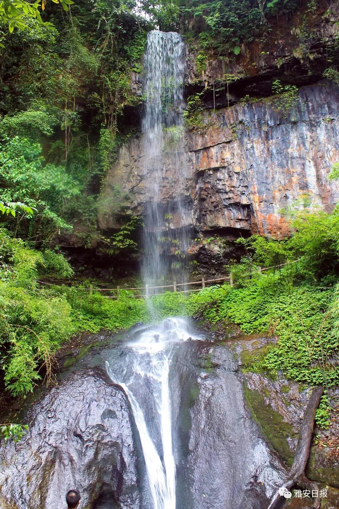 来雅安旅游,雅安二郎山休闲特色民宿