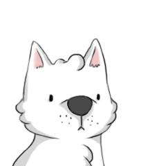 2005年青岛太平路学区房价格,青岛市南区二手房学区房