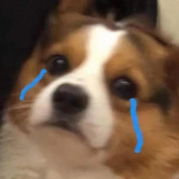 福州房价跌出前十,房价下跌福州名单