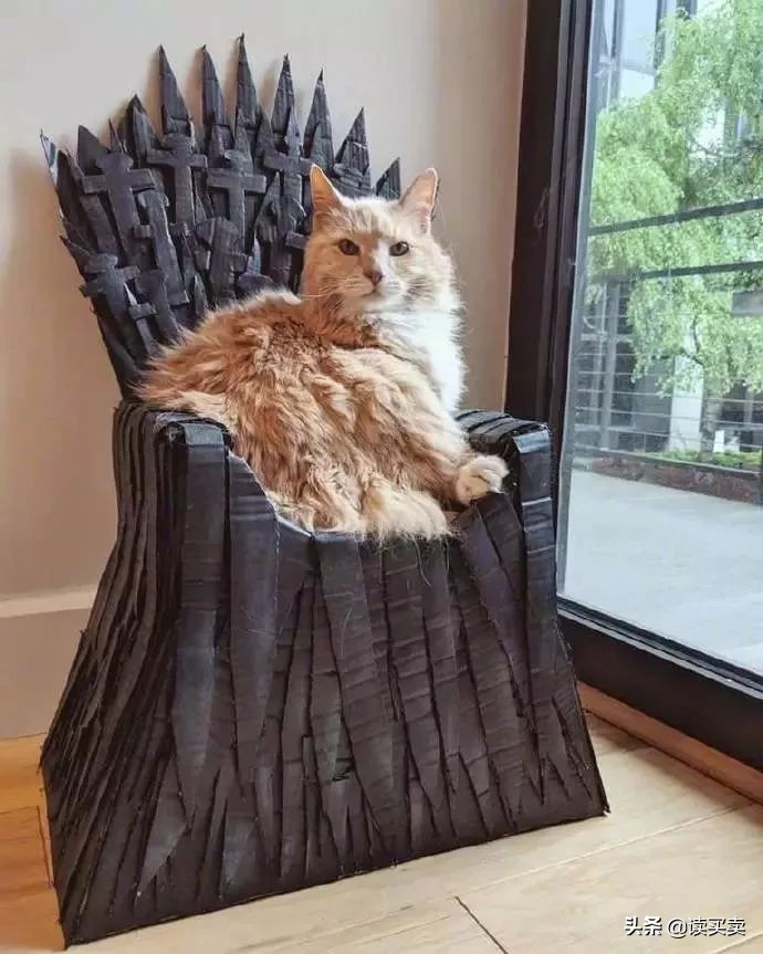 怎么判断男生直不直男,如何判断一个男生直不直