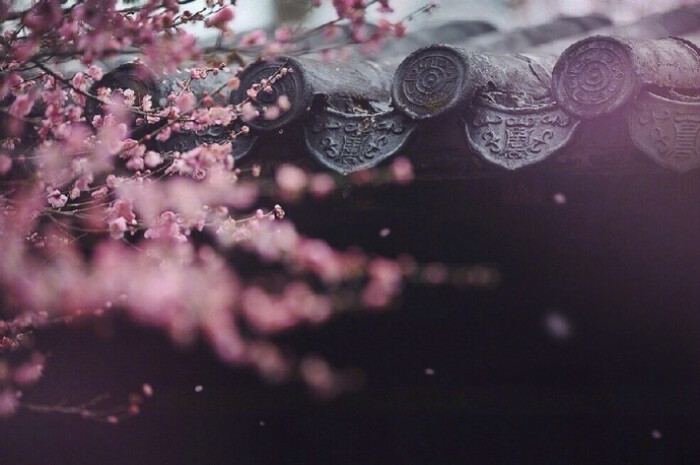 处世绝学品读菜根谭,菜根谭处世绝学