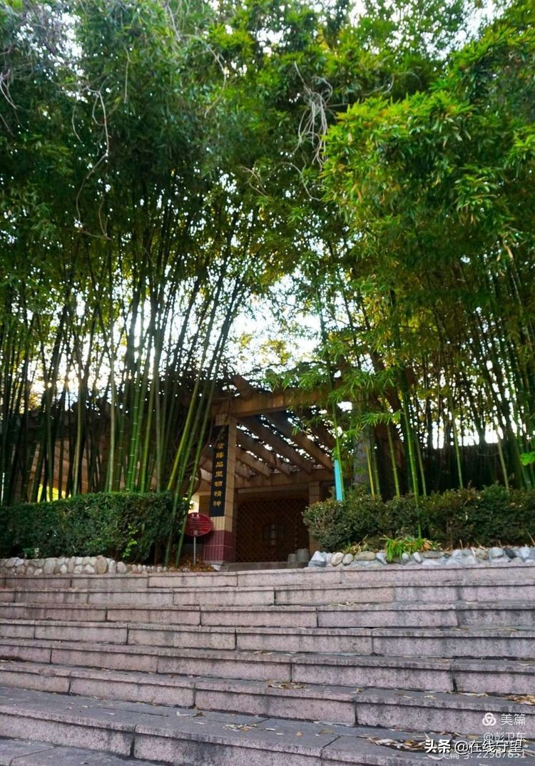 43年了,跟随彭卫东校友的回忆走进济南铁一中那段激情燃烧的岁月