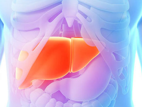 临床上原发性肝癌的中医治疗