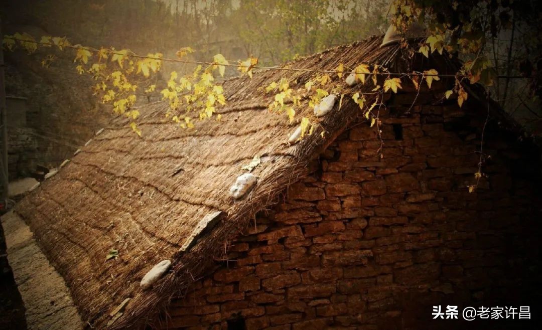 真实故事时光一去不复返,真实故事之无法回头