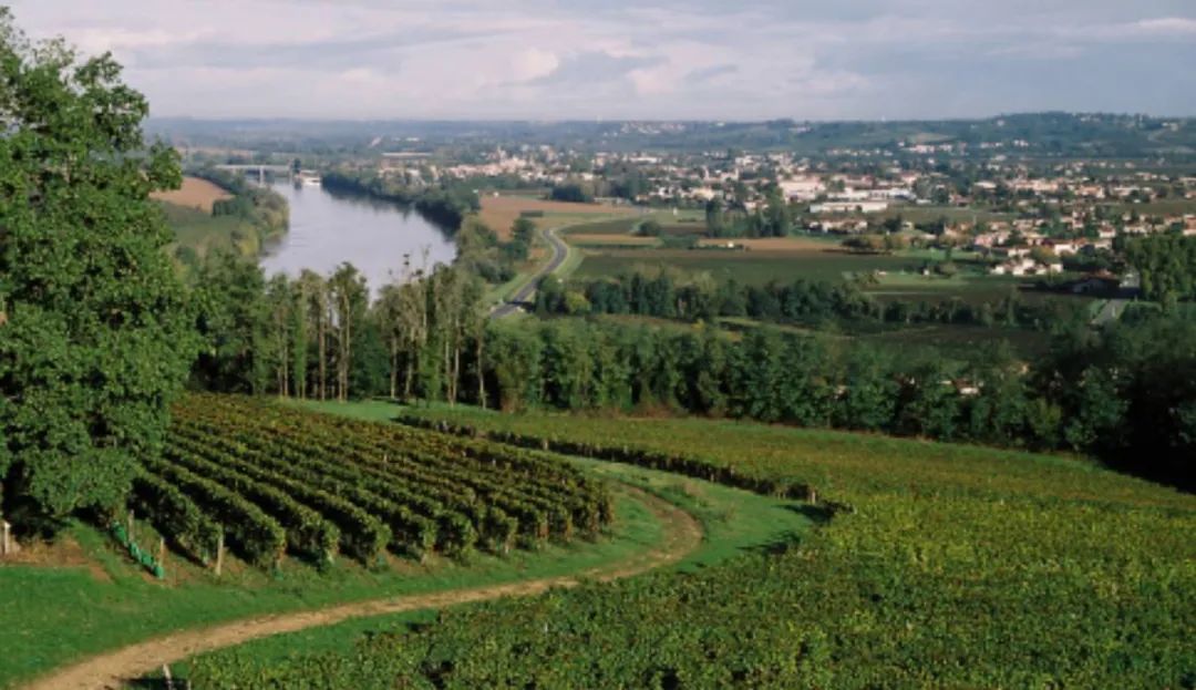 红酒为啥要波尔多,波尔多红酒有什么好处和坏处