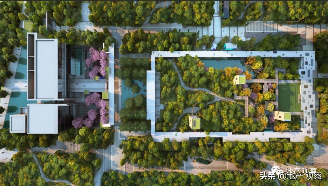 一个具备网红潜质的品质项目