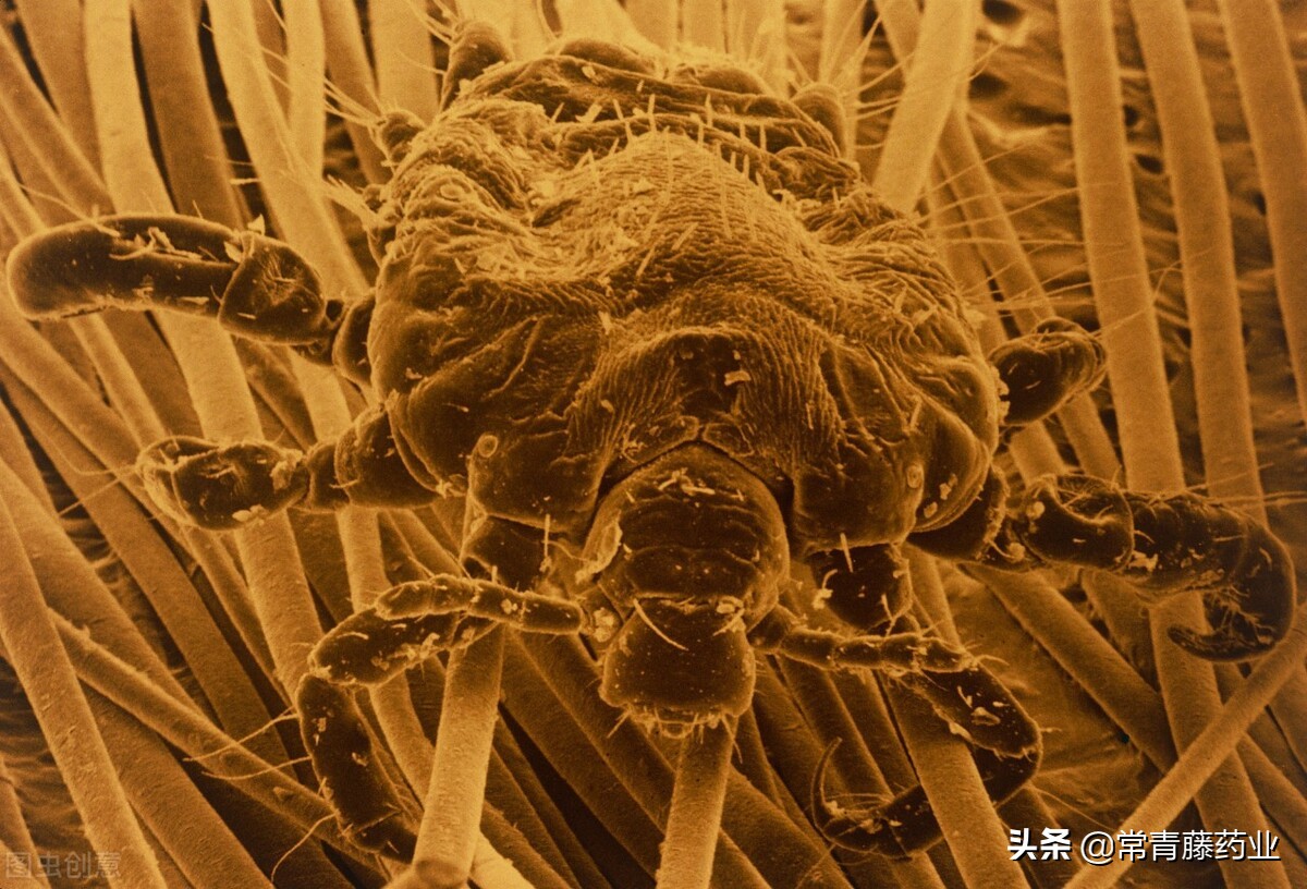 除了艾滋病还有什么传染病,艾滋病是致命性传染病吗