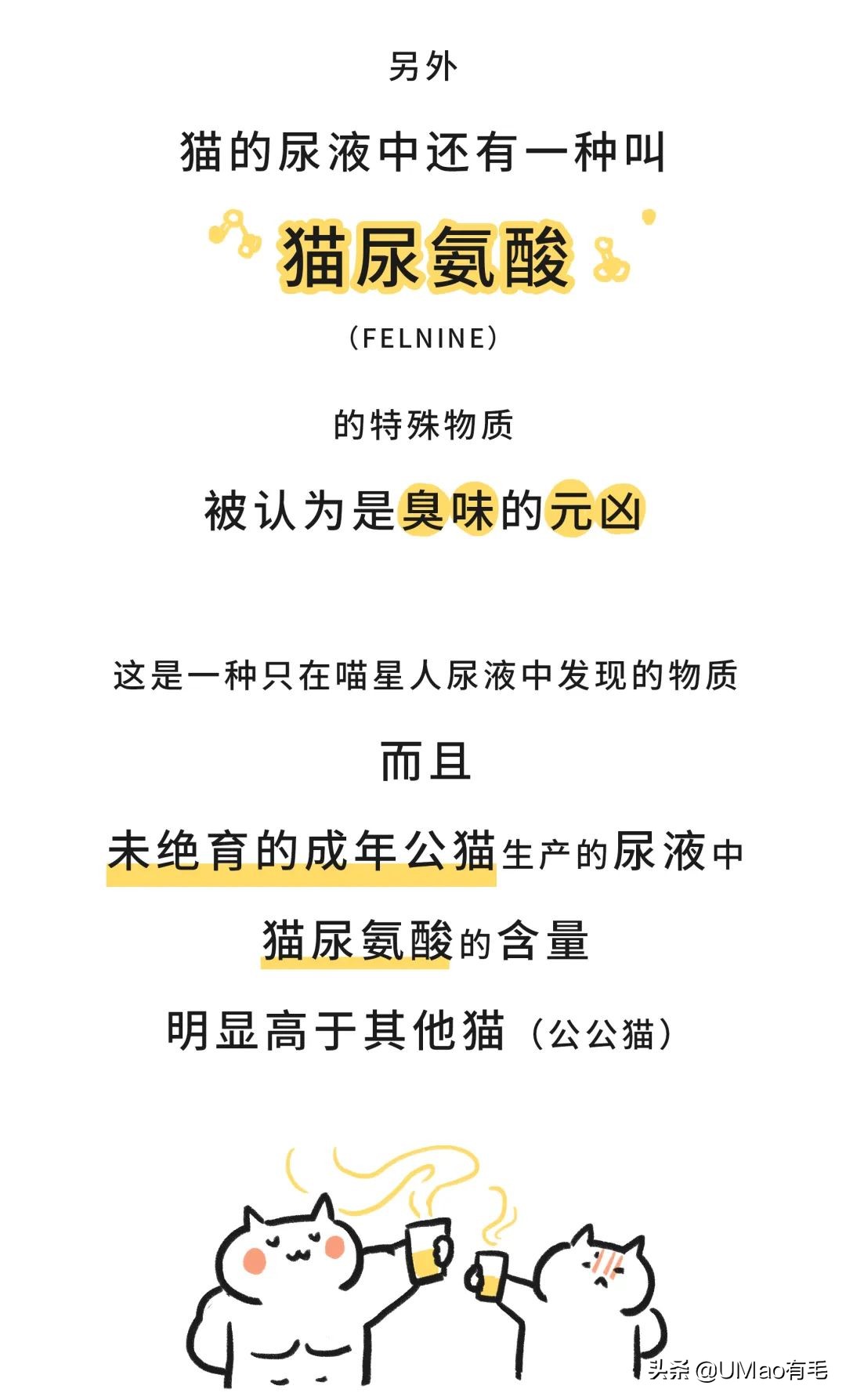 盘点小猫咪被臭到的反应,小猫咪这么可爱为什么会脚臭