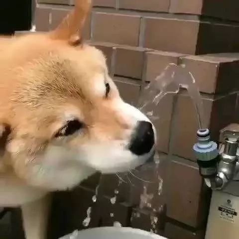 正宗的上海话中十大闲话,正宗上海闲话读词