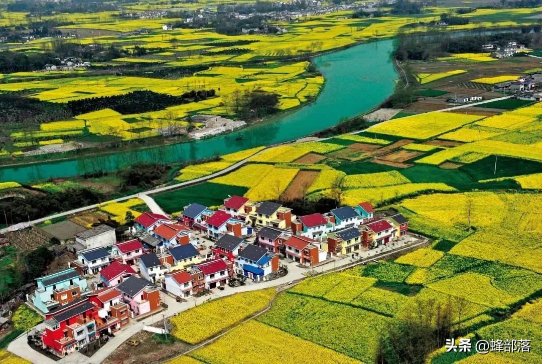 未来农村十大项目,农村最新项目商机