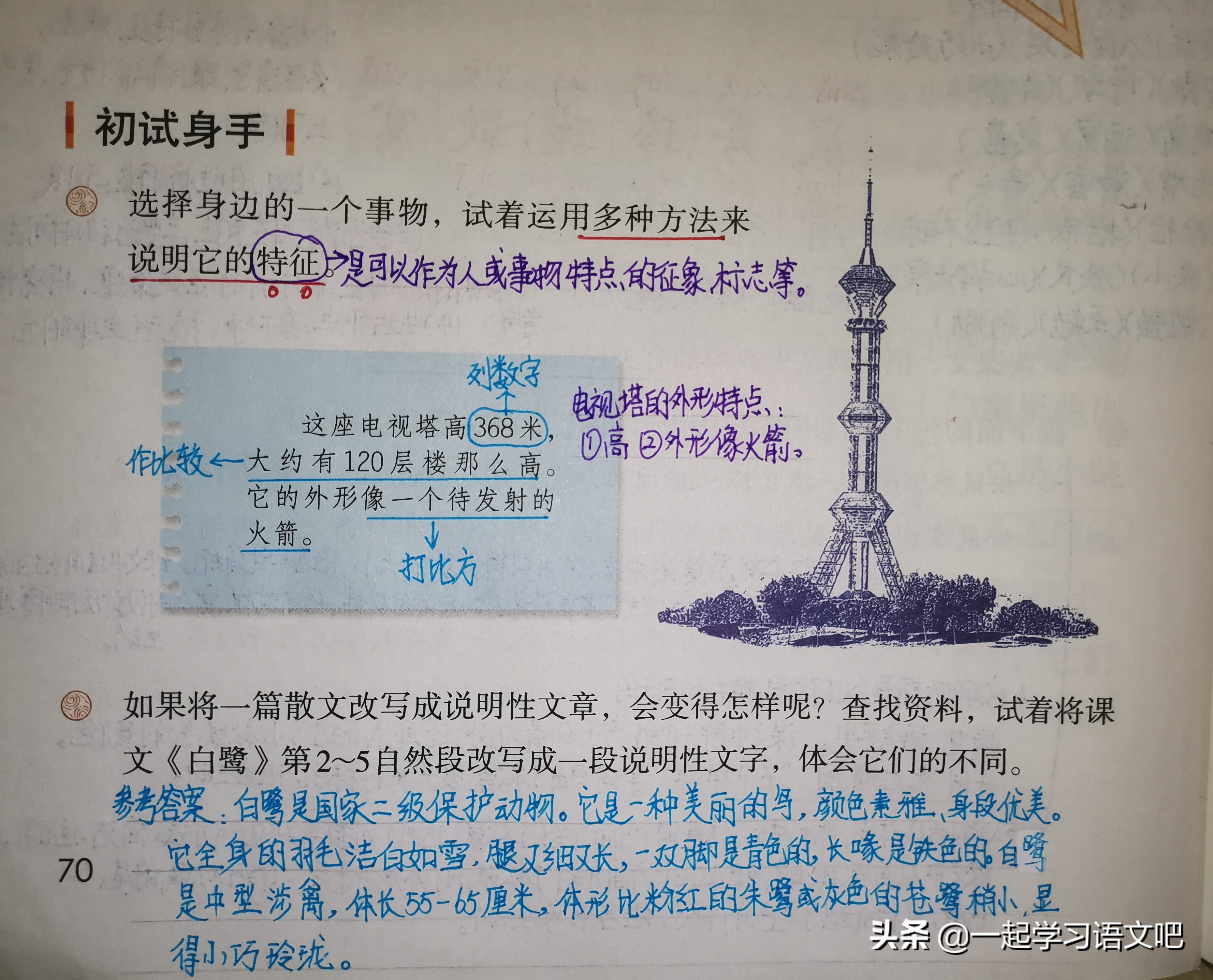 松鼠统编版五年级上册第五单元,五年级课文太阳松鼠阅读练习