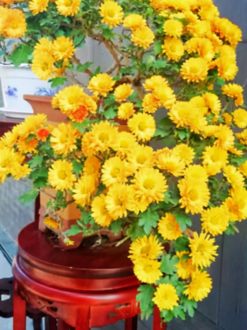 荆州历史上最大的刺史,东晋历任荆州刺史