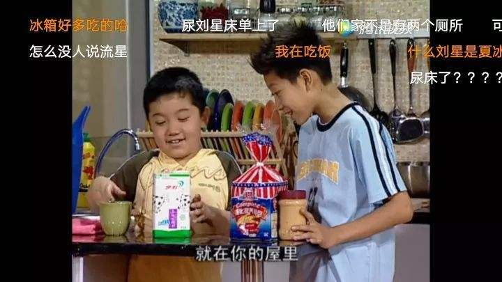 家有儿女刘星小雨长大合照,家有儿女小雨和小雪是亲姐弟吗