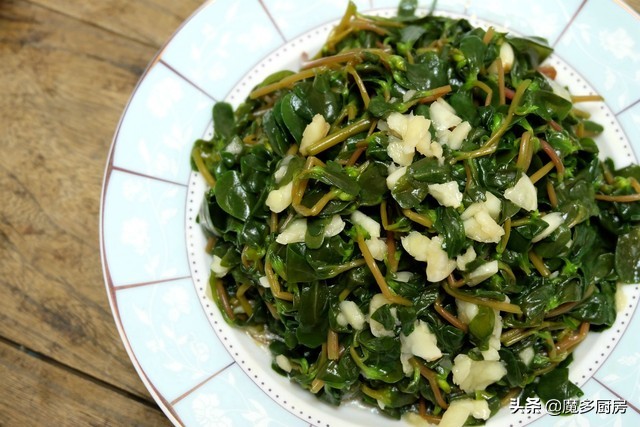 农村菜地里一种野菜酸酸甜甜的,农村常见能吃的野草和做法