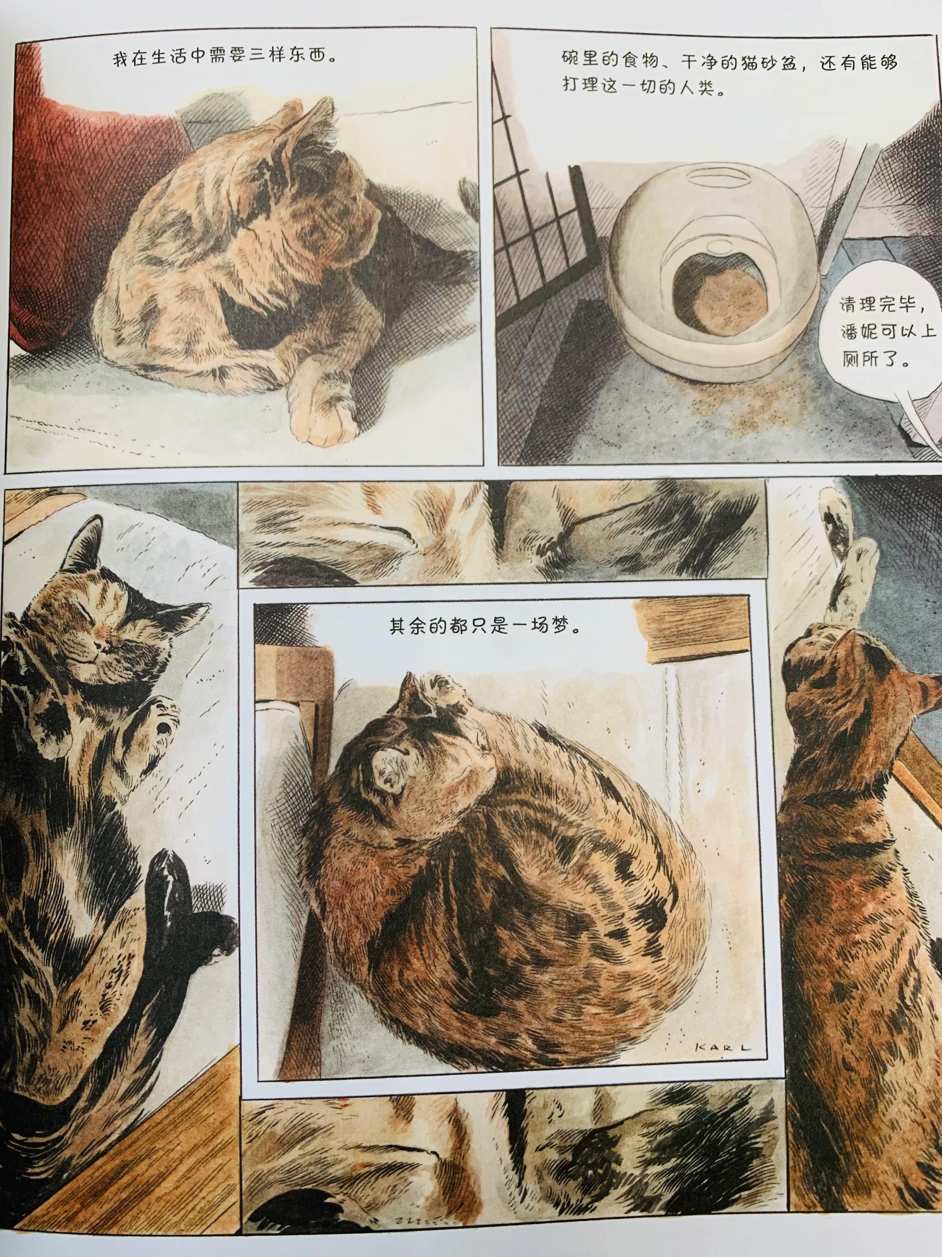 猫咪漫画治愈系短片,猫咪的搞笑漫画