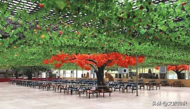 山东德州动植物园旅游区,德州市动植物园视频