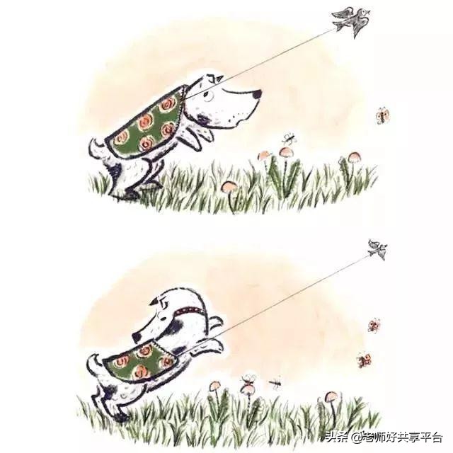 老师好睡前故事｜《哈利的花毛衣》