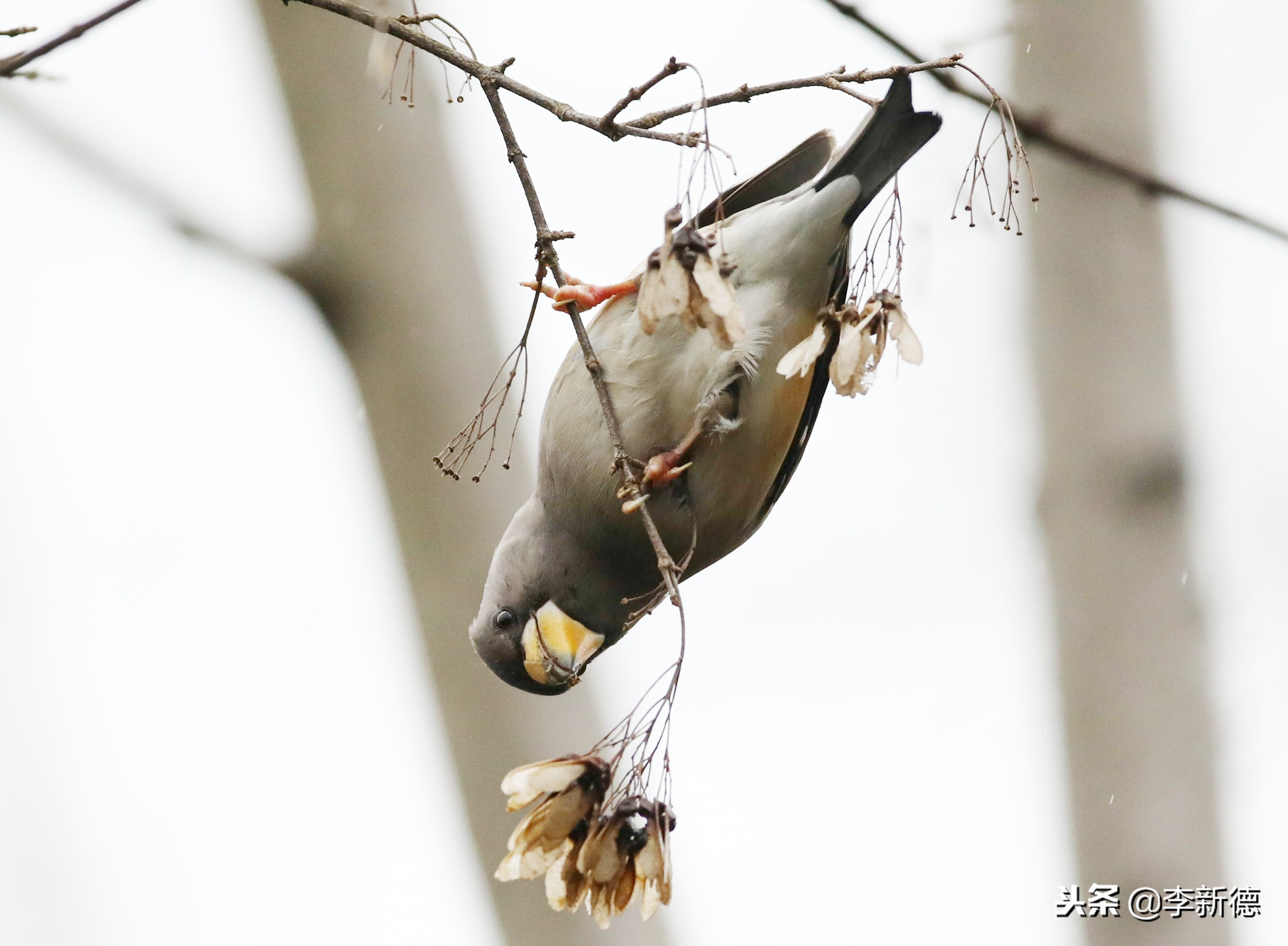 合肥高新区蜀峰湾,合肥市蜀峰湾