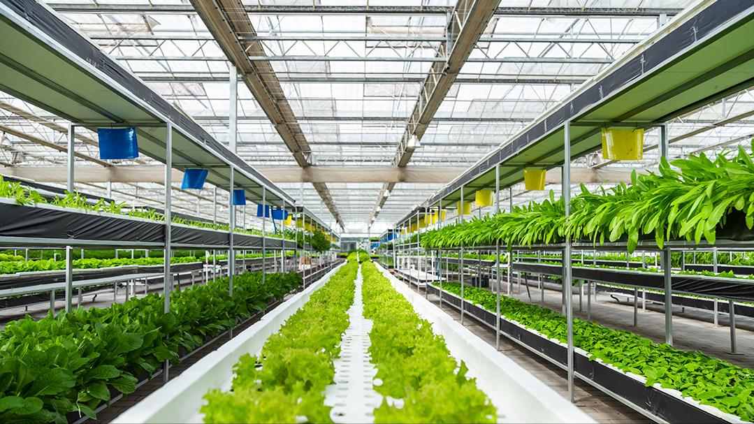 寒潮来袭防寒抗冻严阵以待,寒潮再度来袭打响防寒保暖持久战